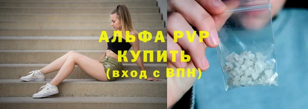 ПСИЛОЦИБИНОВЫЕ ГРИБЫ Козельск