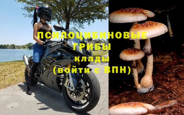 герыч Козловка