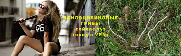 герыч Козловка