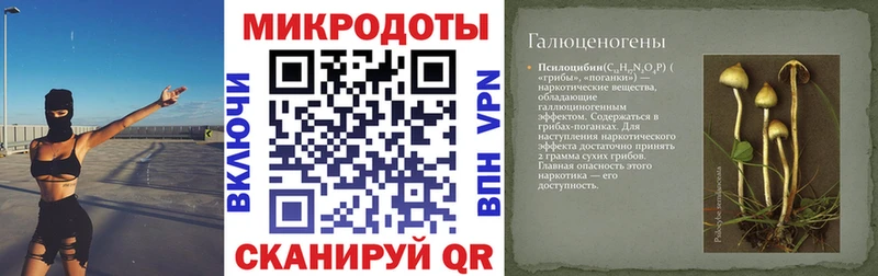 наркота  Ленинск-Кузнецкий  Псилоцибиновые грибы мицелий 